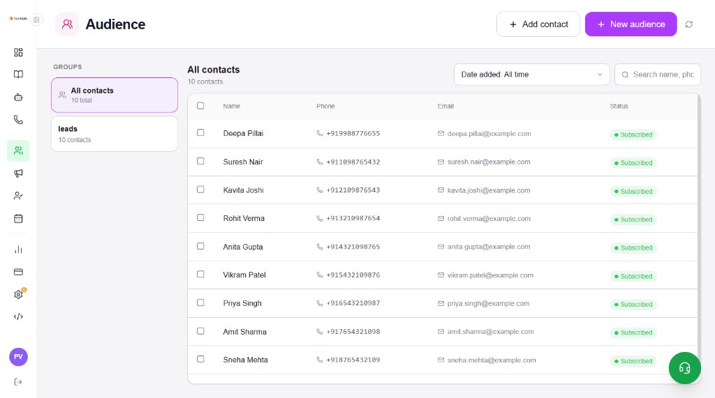 Audience page with Groups sidebar and All contacts table showing name, phone, email, status